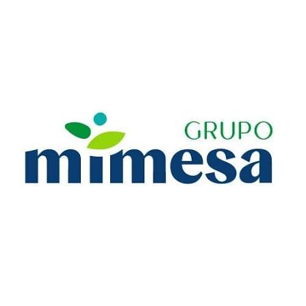 Grupo Mimesa